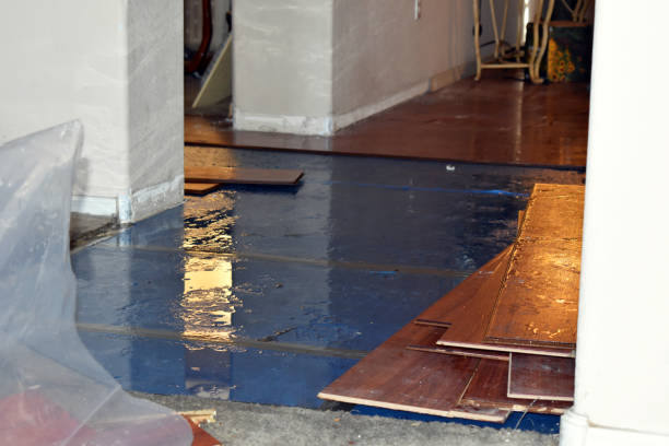 Professional Burst Pipe Cleanup technician working in Encino, CA