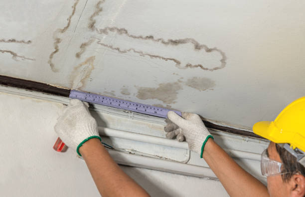 Reliable Burst Pipe Cleanup contractor in Encino, CA by Water Damage Irwin